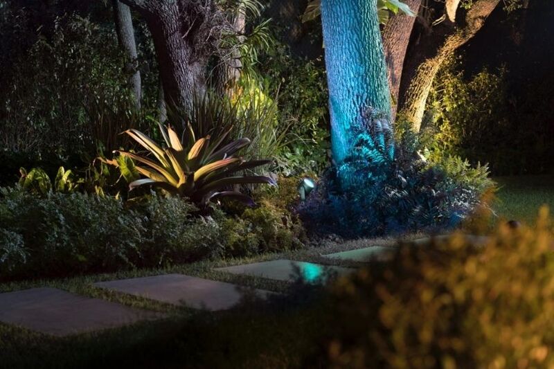 Man sieht die Lichteffekte durch die Philips Hue Lily Gartenspots.